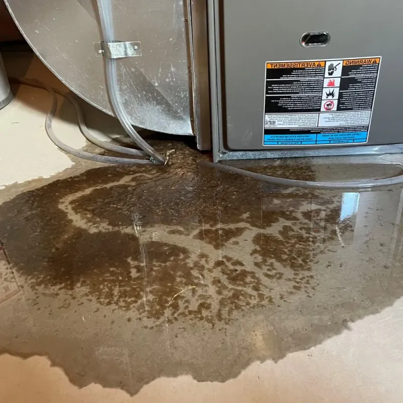 Pipe Burst and Leak Restoration in Solvang, CA
